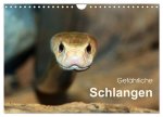 Gefährliche Schlangen (Wandkalender 2026 DIN A4 quer), CALVENDO Monatskalender