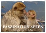 Faszination Affen. Kobolde zum Verlieben (Wandkalender 2026 DIN A3 quer), CALVENDO Monatskalender