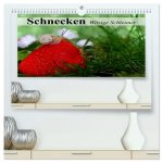 Schnecken. Witzige Schleimer (hochwertiger Premium Wandkalender 2026 DIN A2 quer), Kunstdruck in Hochglanz