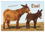 Zauberhafte Esel (Wandkalender 2026 DIN A3 quer), CALVENDO Monatskalender