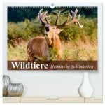 Wildtiere. Heimische Schönheiten (hochwertiger Premium Wandkalender 2026 DIN A2 quer), Kunstdruck in Hochglanz