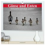 Gänse und Enten. Schnattern, watscheln, quaken! (hochwertiger Premium Wandkalender 2026 DIN A2 quer), Kunstdruck in Hochglanz