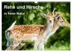 Rehe und Hirsche in freier Natur (Wandkalender 2026 DIN A3 quer), CALVENDO Monatskalender