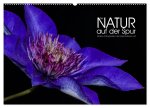Der Natur auf der Spur - Makro-Fotografien der besonderen Art (Wandkalender 2026 DIN A2 quer), CALVENDO Monatskalender