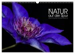 Der Natur auf der Spur - Makro-Fotografien der besonderen Art (Wandkalender 2026 DIN A3 quer), CALVENDO Monatskalender