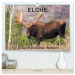 ELCHE In den nördlichen Wäldern (hochwertiger Premium Wandkalender 2026 DIN A2 quer), Kunstdruck in Hochglanz
