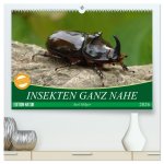 INSEKTEN GANZ NAHE (hochwertiger Premium Wandkalender 2026 DIN A2 quer), Kunstdruck in Hochglanz