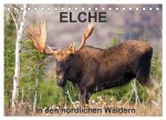 ELCHE In den nördlichen Wäldern (Tischkalender 2026 DIN A5 quer), CALVENDO Monatskalender