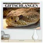 Giftschlangen (hochwertiger Premium Wandkalender 2026 DIN A2 quer), Kunstdruck in Hochglanz