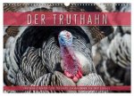 Emotionale Momente: Der Truthahn. (Wandkalender 2026 DIN A3 quer), CALVENDO Monatskalender