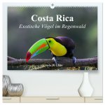 Costa Rica - Exotische Vögel im Regenwald (hochwertiger Premium Wandkalender 2026 DIN A2 quer), Kunstdruck in Hochglanz
