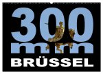 300mm - Brüssel (Wandkalender 2026 DIN A2 quer), CALVENDO Monatskalender