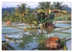 Peter Fischer - Bali 2026 (Wandkalender 2026 DIN A2 quer), CALVENDO Monatskalender