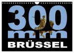 300mm - Brüssel (Wandkalender 2026 DIN A4 quer), CALVENDO Monatskalender