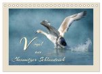 Vögel am Chemnitzer Schlossteich (Tischkalender 2026 DIN A5 quer), CALVENDO Monatskalender