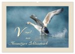 Vögel am Chemnitzer Schlossteich (Wandkalender 2026 DIN A2 quer), CALVENDO Monatskalender