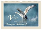 Vögel am Chemnitzer Schlossteich (Wandkalender 2026 DIN A4 quer), CALVENDO Monatskalender