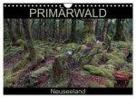 Primärwald - Neuseeland (Wandkalender 2026 DIN A4 quer), CALVENDO Monatskalender