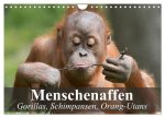 Menschenaffen. Gorillas, Schimpansen, Orang-Utans (Wandkalender 2026 DIN A4 quer), CALVENDO Monatskalender