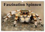 Faszination Spinnen (Wandkalender 2026 DIN A3 quer), CALVENDO Monatskalender