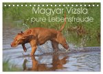 Magyar Vizsla - pure Lebensfreude (Tischkalender 2026 DIN A5 quer), CALVENDO Monatskalender