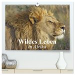 Wildes Leben in Afrika (hochwertiger Premium Wandkalender 2026 DIN A2 quer), Kunstdruck in Hochglanz