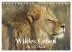 Wildes Leben in Afrika (Tischkalender 2026 DIN A5 quer), CALVENDO Monatskalender