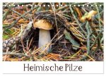Heimische Pilze (Tischkalender 2026 DIN A5 quer), CALVENDO Monatskalender