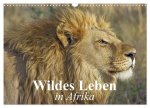 Wildes Leben in Afrika (Wandkalender 2026 DIN A3 quer), CALVENDO Monatskalender