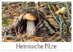 Heimische Pilze (Wandkalender 2026 DIN A3 quer), CALVENDO Monatskalender