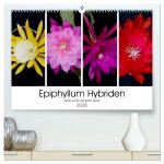 Epiphyllum-Hybriden (hochwertiger Premium Wandkalender 2026 DIN A2 quer), Kunstdruck in Hochglanz