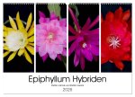 Epiphyllum-Hybriden (Wandkalender 2026 DIN A2 quer), CALVENDO Monatskalender
