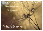 Unscheinbare Schönheit - Pusteblume (Tischkalender 2026 DIN A5 quer), CALVENDO Monatskalender