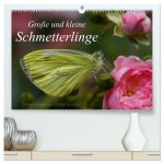 Große und kleine Schmetterlinge (hochwertiger Premium Wandkalender 2026 DIN A2 quer), Kunstdruck in Hochglanz