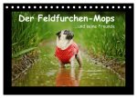 Der Feldfurchen-Mops (Tischkalender 2026 DIN A5 quer), CALVENDO Monatskalender