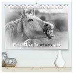 Emotionale Momente: Weiße Pferde in schwarzweiß. (hochwertiger Premium Wandkalender 2026 DIN A2 quer), Kunstdruck in Hochglanz