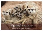 Erdmännchen (Wandkalender 2026 DIN A2 quer), CALVENDO Monatskalender