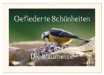 Gefiederte Schönheiten - Die Blaumeise (Wandkalender 2026 DIN A3 quer), CALVENDO Monatskalender