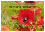 Farbtupfer auf sommerlichen Feldern - Mohn und Kornblumen (Wandkalender 2026 DIN A4 quer), CALVENDO Monatskalender