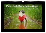 Der Feldfurchen-Mops (Wandkalender 2026 DIN A3 quer), CALVENDO Monatskalender