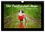 Der Feldfurchen-Mops (Wandkalender 2026 DIN A4 quer), CALVENDO Monatskalender