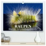Raupen - Skurrile Verwandlungskünstler (hochwertiger Premium Wandkalender 2026 DIN A2 quer), Kunstdruck in Hochglanz