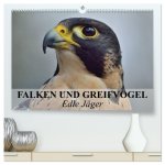 Falken und Greifvögel. Edle Jäger (hochwertiger Premium Wandkalender 2026 DIN A2 quer), Kunstdruck in Hochglanz