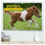 Ponys. Herzensbrecher mit Grips (hochwertiger Premium Wandkalender 2026 DIN A2 quer), Kunstdruck in Hochglanz