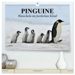 Pinguine - Watscheln im festlichen Kleid (hochwertiger Premium Wandkalender 2026 DIN A2 quer), Kunstdruck in Hochglanz