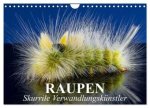 Raupen - Skurrile Verwandlungskünstler (Wandkalender 2026 DIN A4 quer), CALVENDO Monatskalender