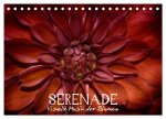 Serenade - Visuelle Musik der Blumen (Tischkalender 2026 DIN A5 quer), CALVENDO Monatskalender