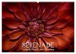 Serenade - Visuelle Musik der Blumen (Wandkalender 2026 DIN A2 quer), CALVENDO Monatskalender