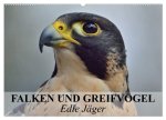 Falken und Greifvögel. Edle Jäger (Wandkalender 2026 DIN A2 quer), CALVENDO Monatskalender