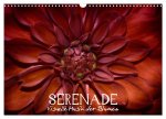 Serenade - Visuelle Musik der Blumen (Wandkalender 2026 DIN A3 quer), CALVENDO Monatskalender